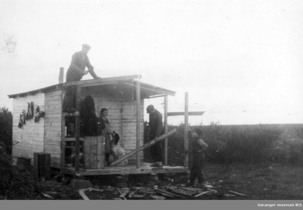 Bygging av hytta Fredheim på Viinikkaslåtta. Bildet er tatt i perioden 1939-1944. Avbildete  er Nanna Riesto, Johan Riesto (på taket), hunden Jerv og to av Riestoguttene.