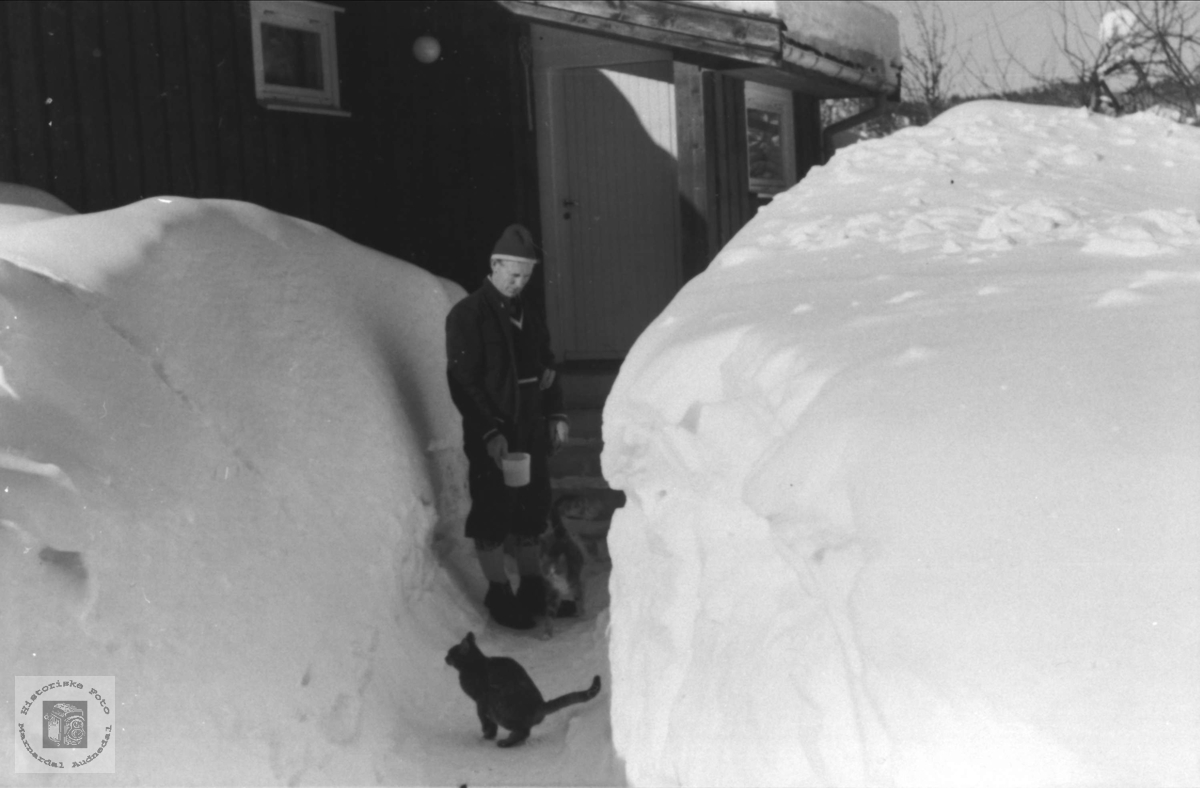 Snøvinter, februar 1977
