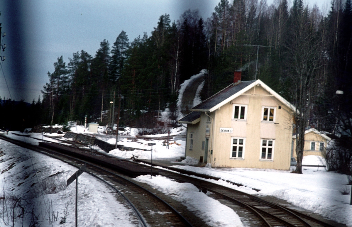 Tog til Fagernes kjører inn på Skrukli stasjon.