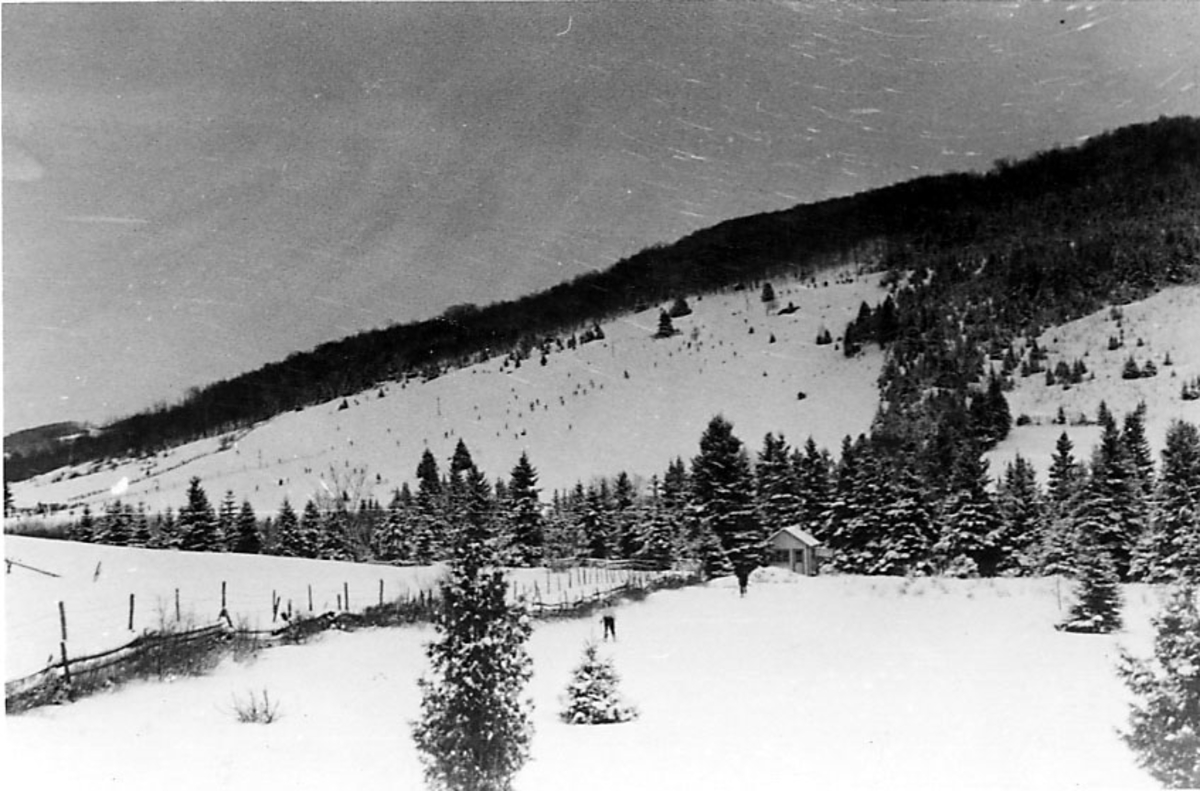 Snødekt landskap, skråning bak. Noen trær. En person på ski foran.