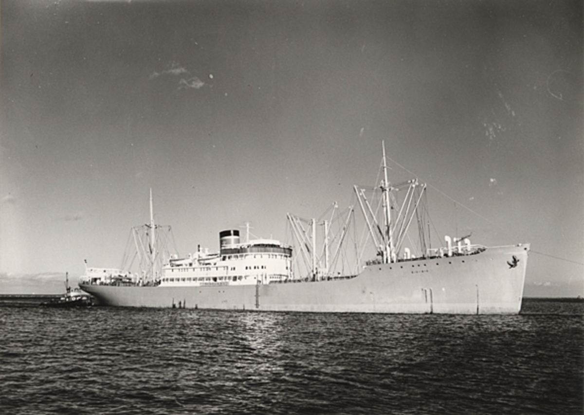 Foto i svartvitt visande lastmotorfartyget "BIO-BIO" i Köpenhamn under 1950-talet.
