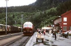 Sørgående dagtog på Nordlandsbanen, hurtigtog 452, kjører in