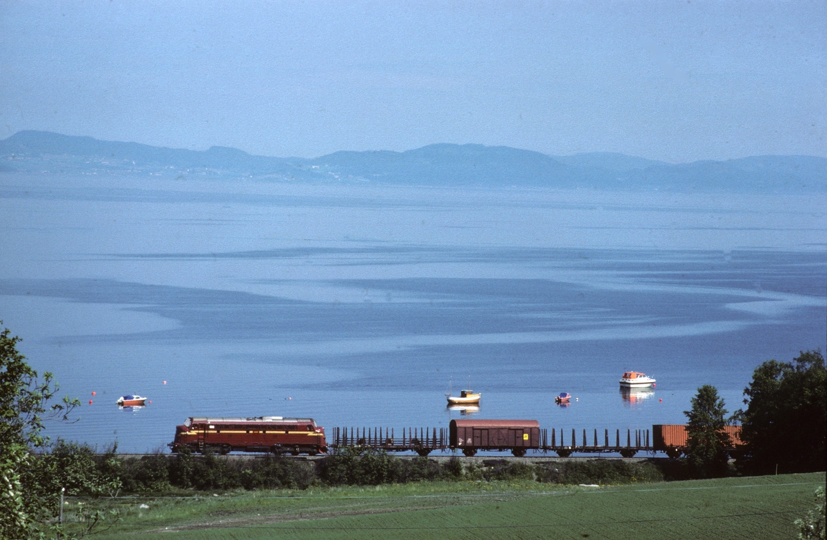 Godstog med NSB dieselelektrisk lokomotiv type Di 3 ved Vikhamar, med Trondheimsfjorden i bakgrunnen.