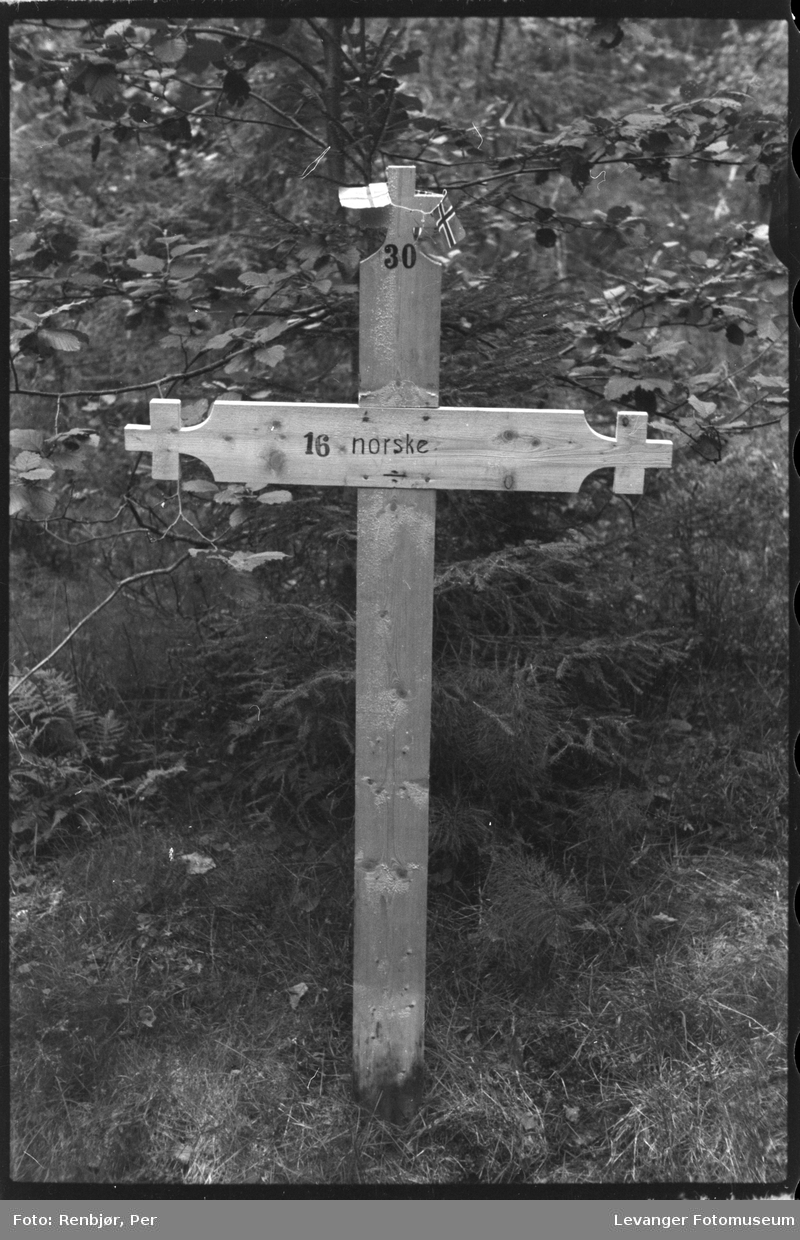Åpning av graver i krigsfangeleiren på Falstad, imidlertidig kors satt opp på fellesgrav.