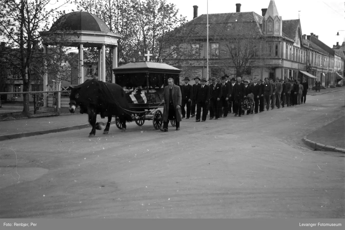 Begravelsesvogn med hest iført skaberakk. Flytting av levningene av russiske, sovjetiske krigsfanger fra Moan i Levanger til Levanger kirkegård.