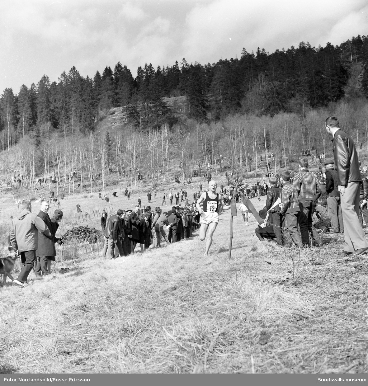 En serie bilder från terräng-SM 1964 som avgörs i Sundsvall med start och mål vid Västhagens idrottsplats.