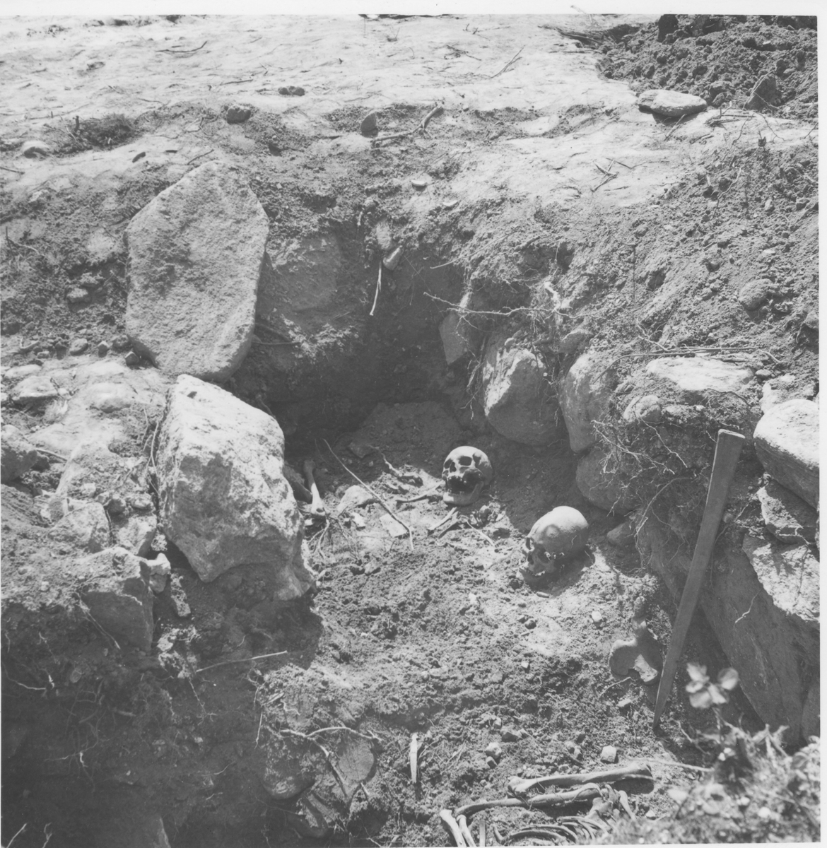Herrljunga, Från utgrävningarna av korgrav vid Herrljunga äldsta kyrka, sommaren 1957.
