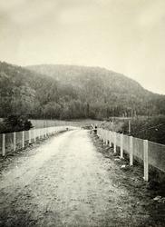 Veg og nettingrekkverk 1924