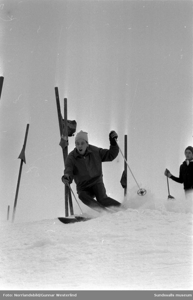 Slalomträning i Sundsvallsbacken.
