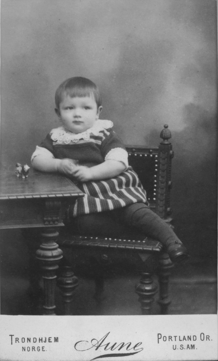 Portrett av et ukjent barn, 1-2 år gammelt
