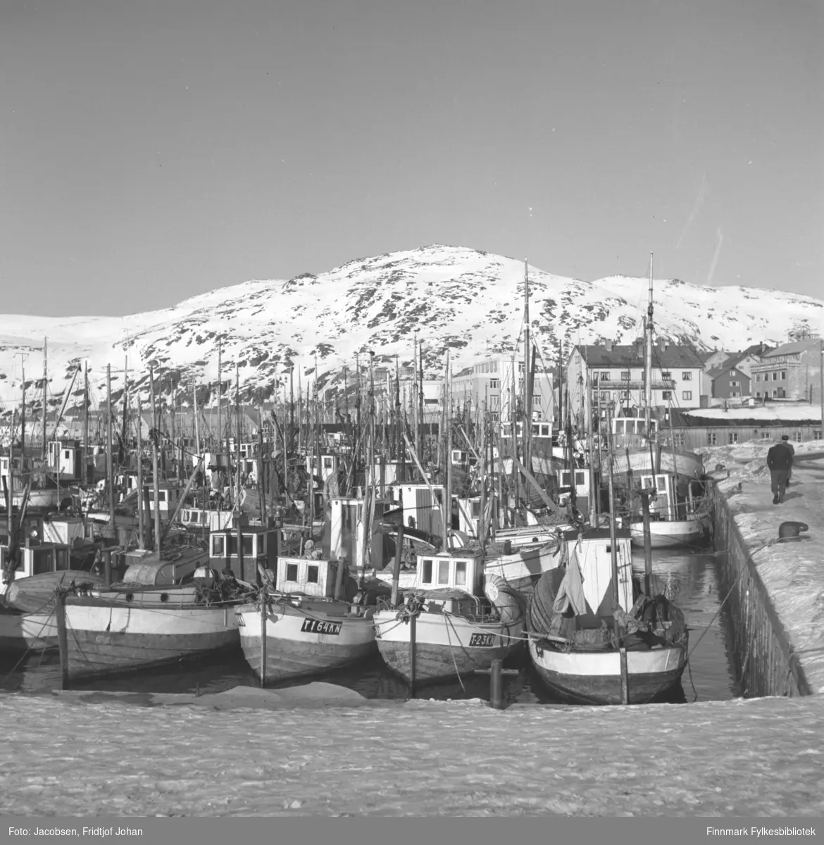 Hammerfest havn med en masse fiskebåter sett fra Rådhuskaia. Findus-anlegget ses midt på bildet.