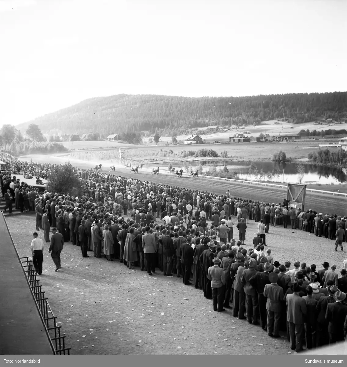 Tävlingar på Bergsåkerstravet 1949 med Nordsvenska Travmästerskapet som vanns av Harry Westergren & Brandver.