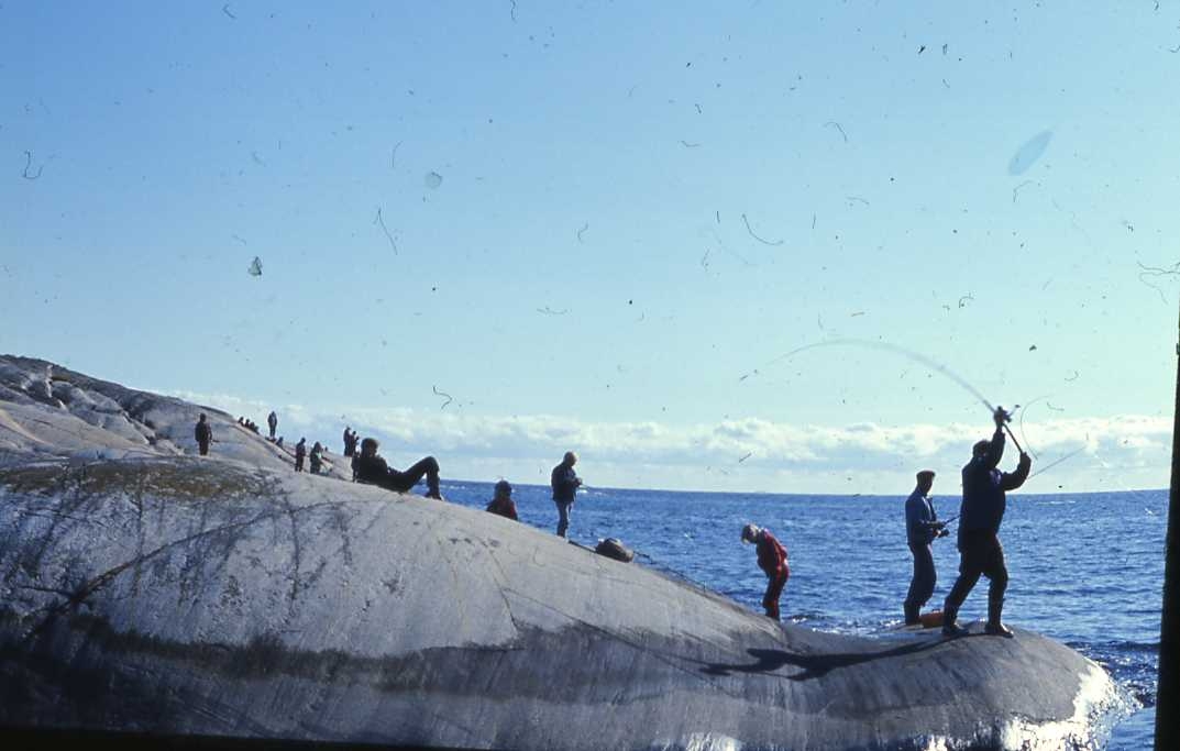 Kragerø og Oppland Turistforening har fiskekonkurranse på  Jomfruland.