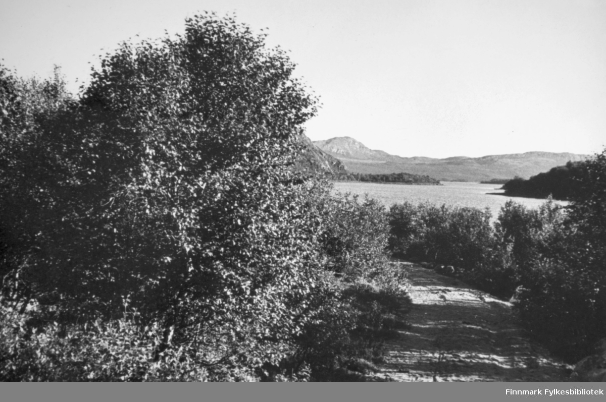 Porsangerfjord-Skoganvarre-veien fotografert en sommerdag. Bildet er tatt av Chr. B. Heimbeck.