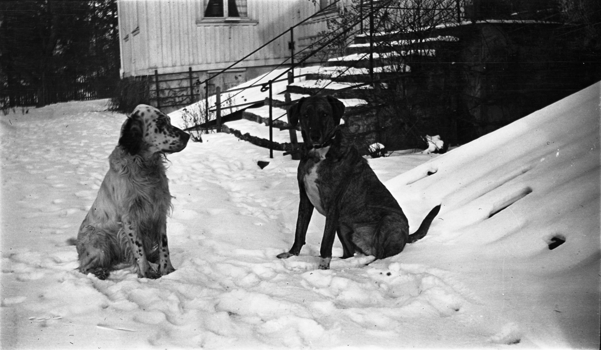 Fotoarkivet etter Gunnar Knudsen Telemark Museum / DigitaltMuseum