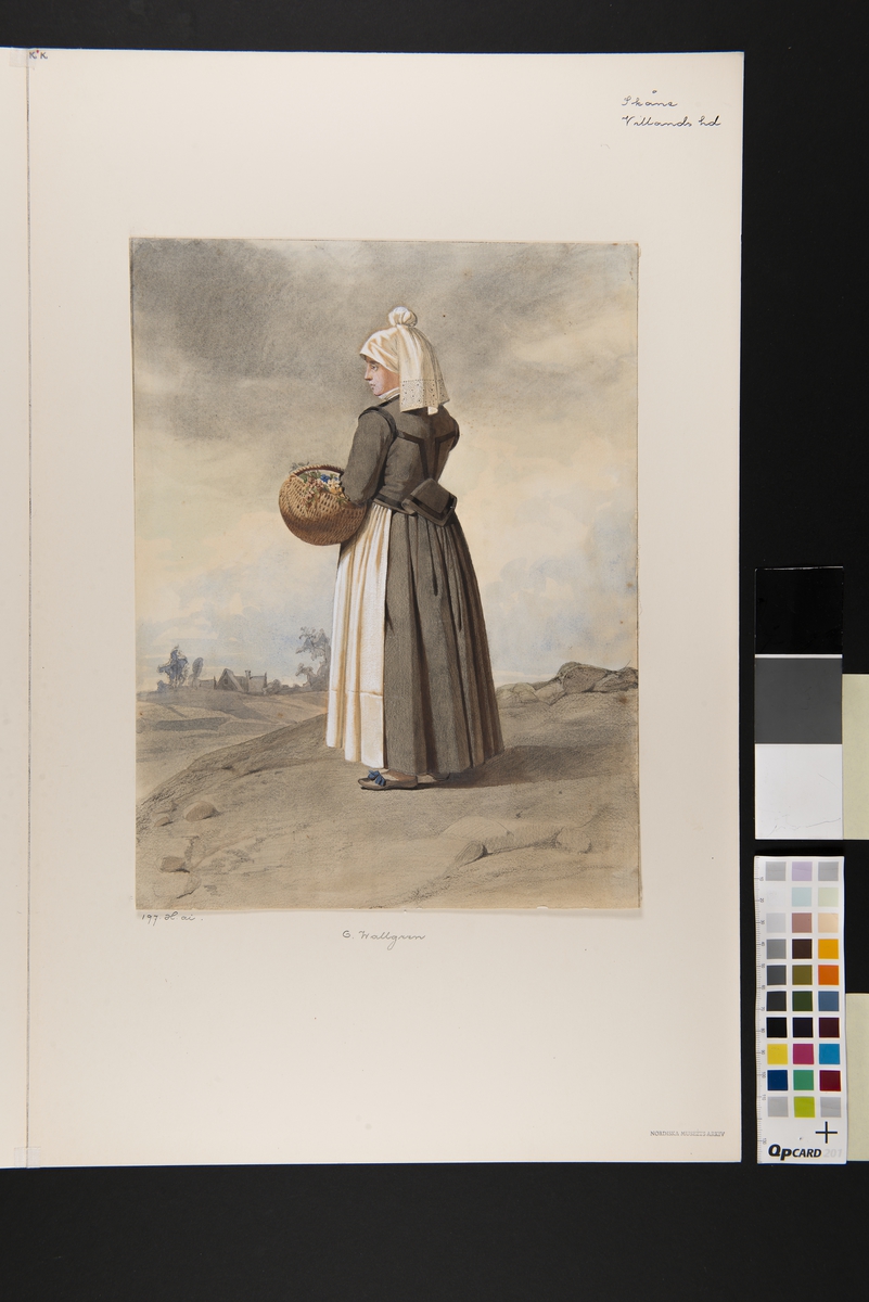 Dräkt. Kvinna i dräkt i helfigur snett bakifrån i landskap. Kvinnan har en blomsterkorg på armen. Akvarell i storformat av Otto Wallgren.