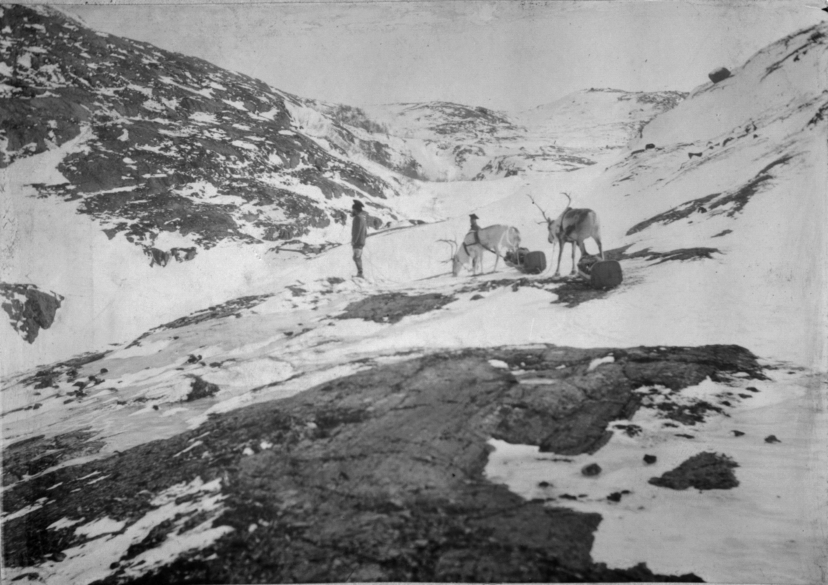 To kjørerein med pulk og vappuser i ulendt terreng mellom Grense Jakobselv og Jarfjord