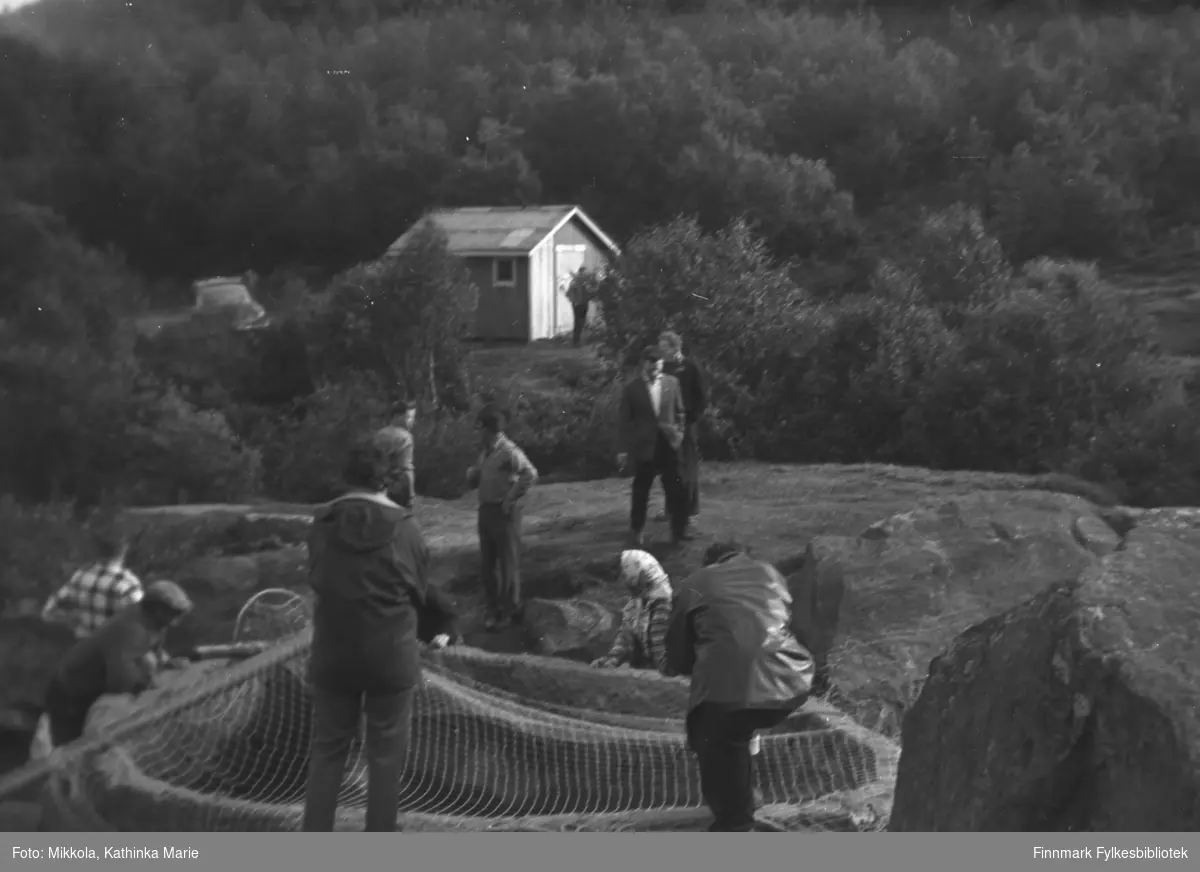 KÃ¤pÃ¤lÃ¤-fiske i Neiden, ca. 1960-1965
