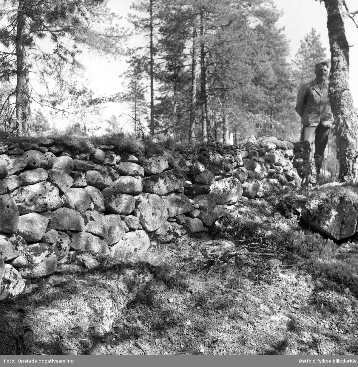 Gammelt steingjerde, Risebru i Spydeberg, ca. 1965.