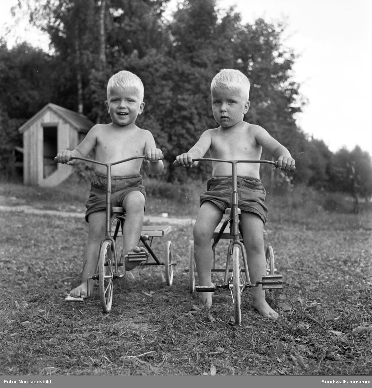 Sommarbarn på landet i Matfors. Två små pojkar på trehjulingar.