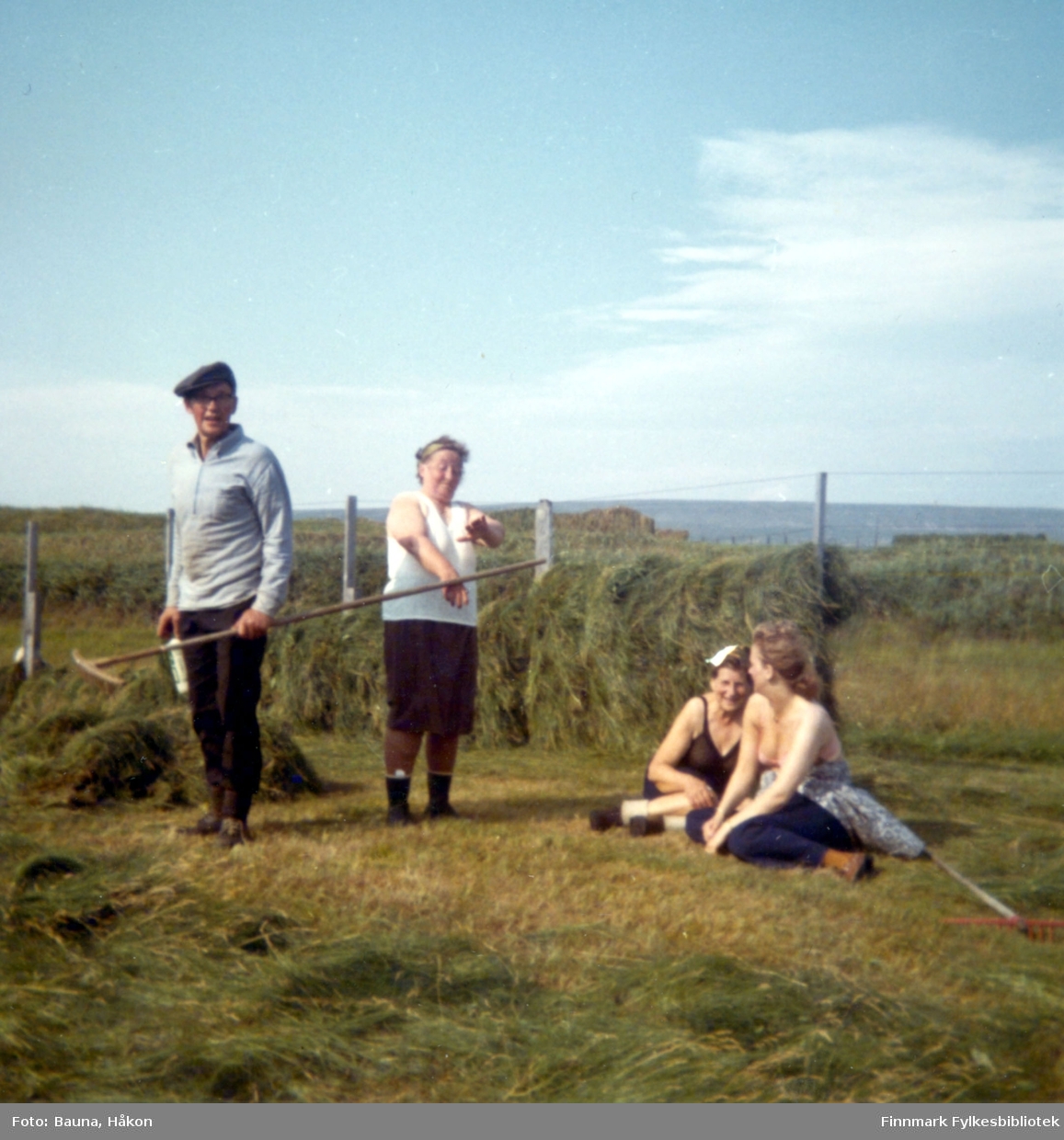 Fire personer jobber med slåttonna i Skallelv. De er, fra venstre: Arnulf Bauna, Gudrun Bauna, Ester Strømsted og Sylvia Bauna.