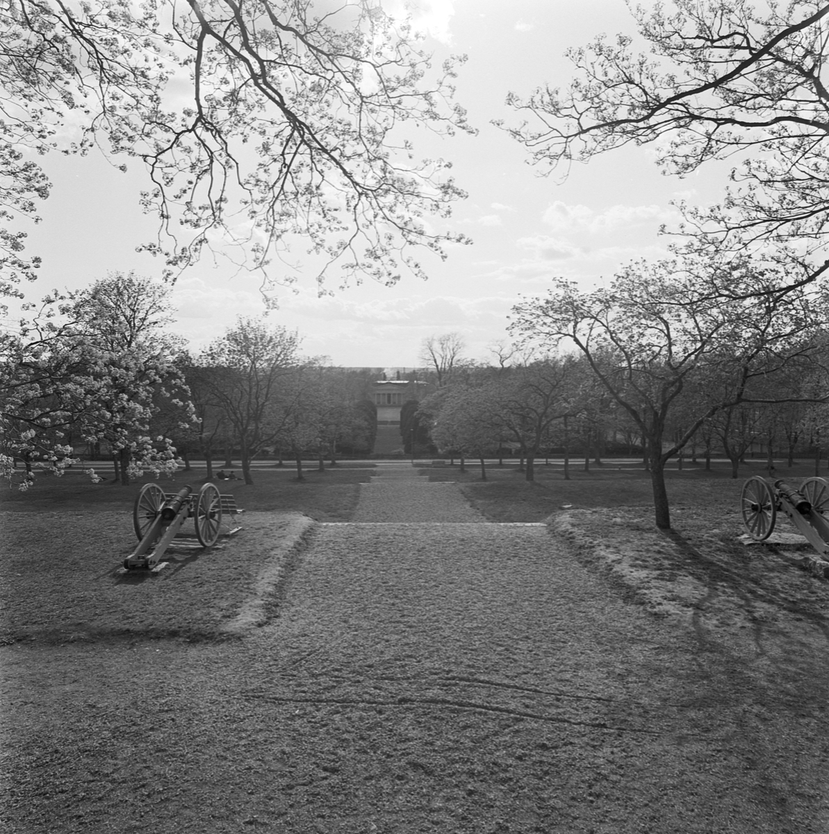 Botaniska trädgården, vacker bild från slottsterasserna, Uppsala 1955