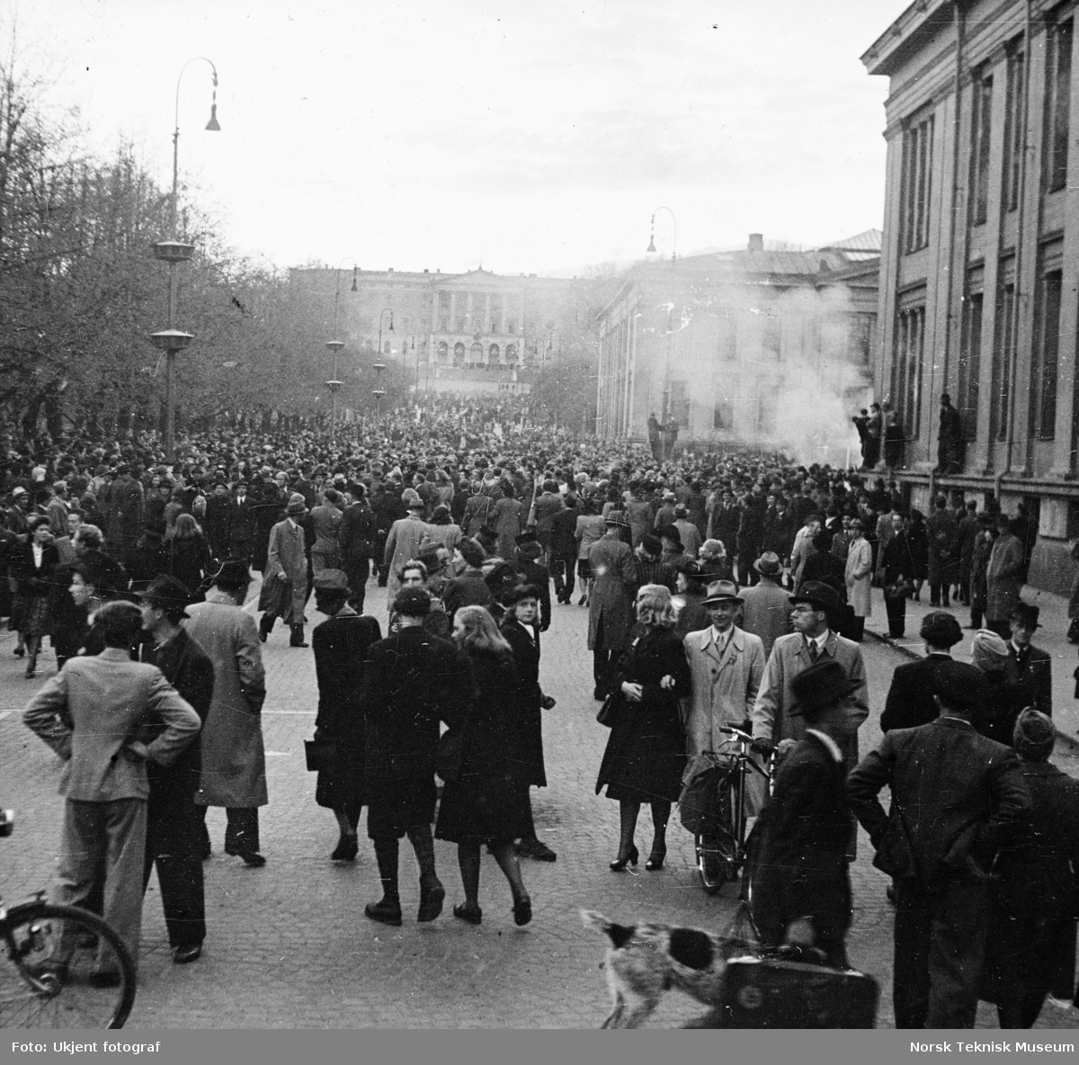 Folkemengde på Karl Johan ved Universitetet opp mot slottet, Oslo mai 1945,