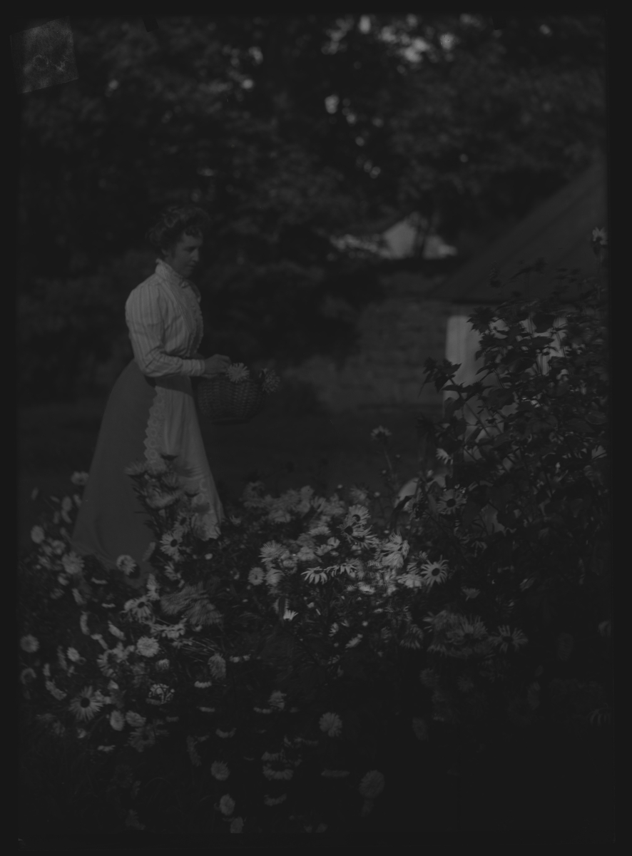 Fröken Hanna Ekberg i trädgården