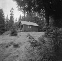 Busterud hytta i Gjerdrum. Gammel setervang brukt av skogsar