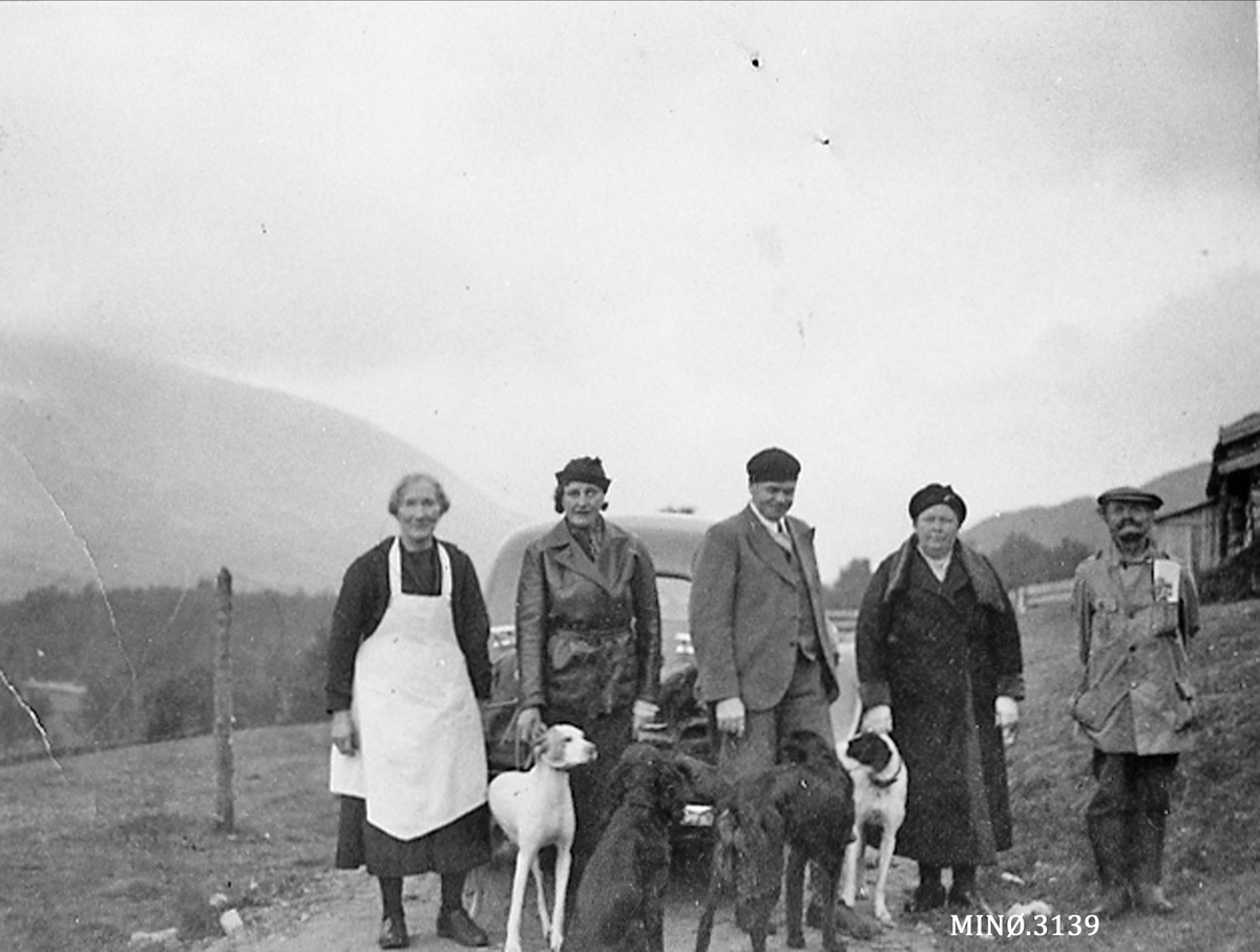 To menn og tre kvinner (to gen. ant), hunder, til fjells ant. 