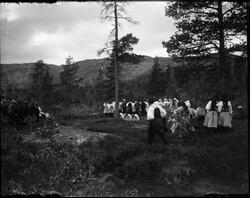 Fotosamling etter Olav Tarjeison Midtgarden Metveit (1889-19