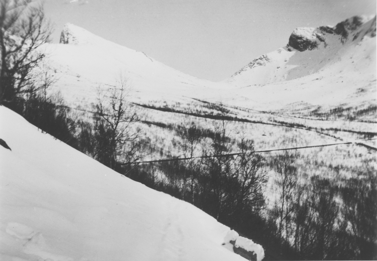 Skjelelvdalen med rørgata(vannledning til Grafitverket) i 1938.