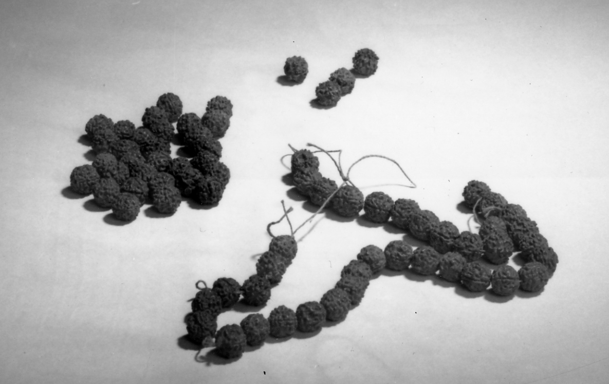 Halsband från Söderhavet av krusiga nötter uppträdda på tråd. Inskaffade under
fregatten 'Vanadis” världsomsegling 1883-85.
