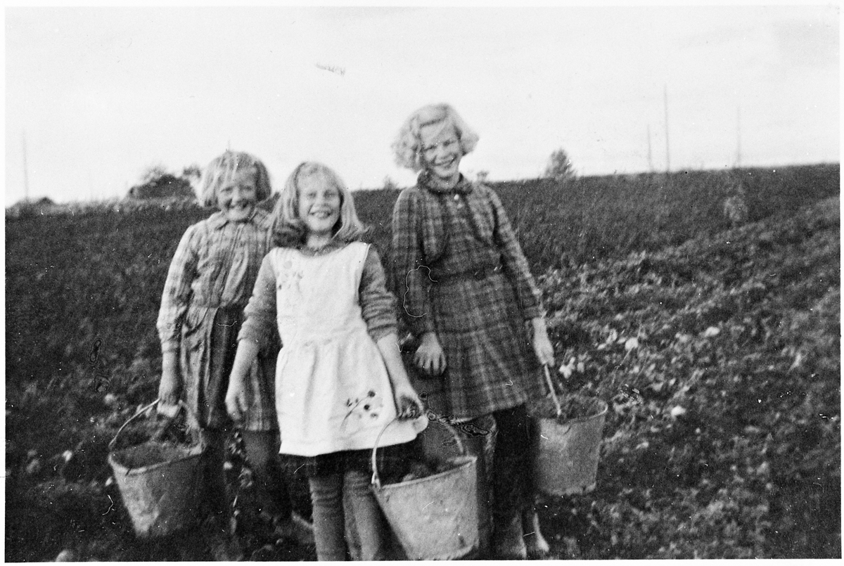 Tre unge potetplukkere under potetonna på gården Lie, Østre Toten, ca. 1930. Personene er ikke identifisert.