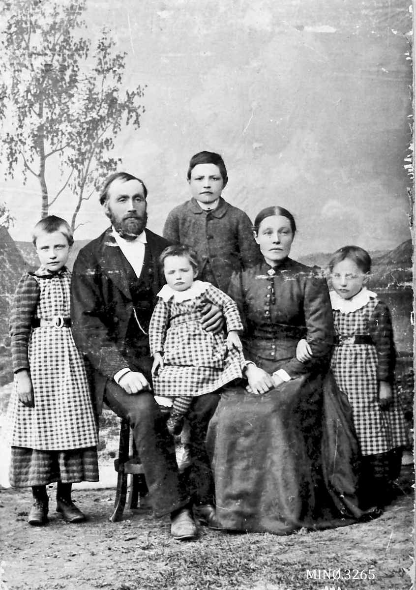 Familiebilde Nordstu Hokstad, Tylldalen