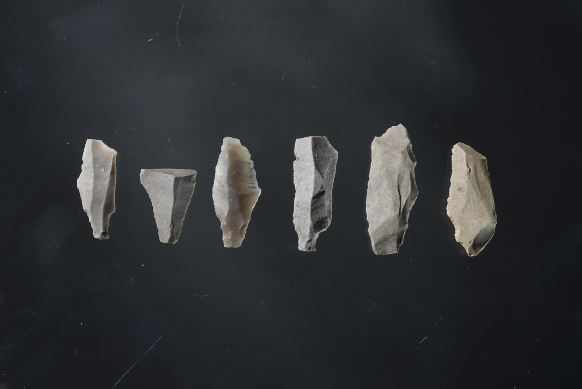 Seks tangepiler av flint, tre med A1 og tre med A2 retusj. Spissene kan være av neolitisk; helst av mesolitisk type. En er brudt av ovenfor basal og to ovenfor sentralpartiet. Fem er av grov, en er av gjennomsiktig flint. En har retusjert sidekant. En har retusjert sidekant og retusjert hakk ovenfor tangen. L 17 mm - 28 mm, st.br. 9 mm - 14 mm.
