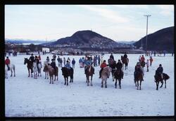 Hester og ryttere på ridestevne på Blåbærhaugen.