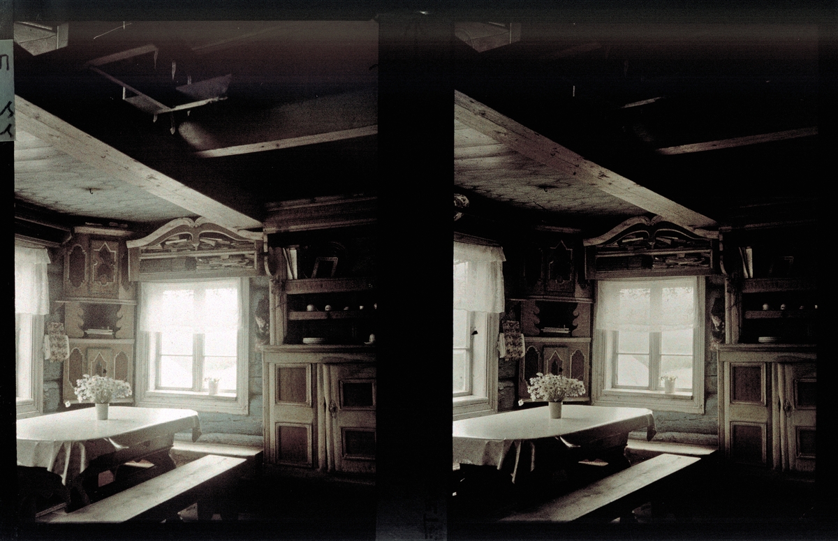 Stue, Villand i Hol. Tilhører Arkitekt Hans Grendahls samling av stereobilder.