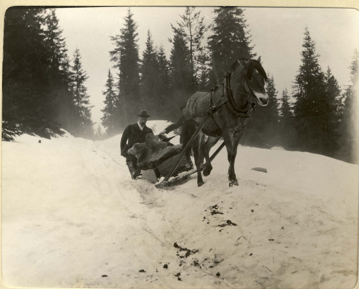 Johan Optjernsberget skysser Ferdinand Egeberg med hest og slede til Tangen (i Stange, Hedmark?). Fotografert april 1910.