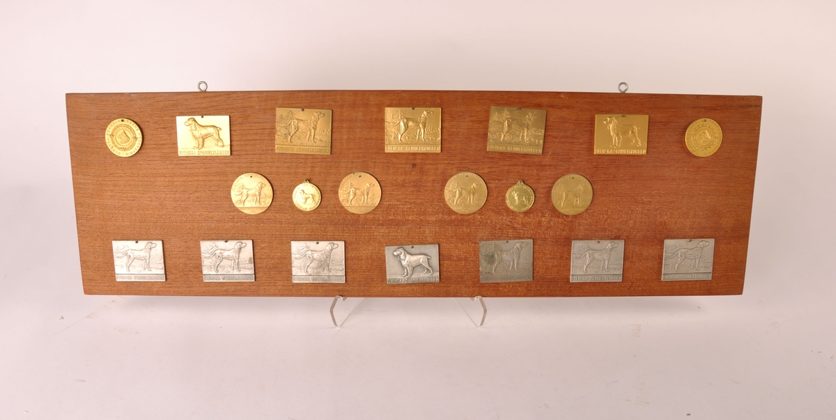 Hundepemie. 20  svenske plaketter og medaljer av metall montert på rektangulær treplate.