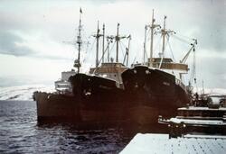 Tre skip ligger til kai i Kirkenes. Fra venstre: M-Schiff, D