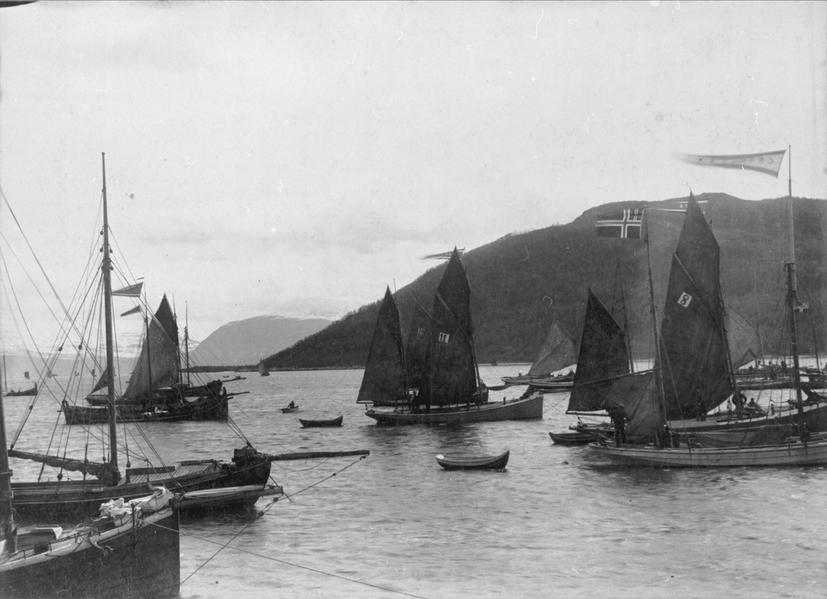 Båter på Harstad havn under "Harstadregattaen" i 1891.