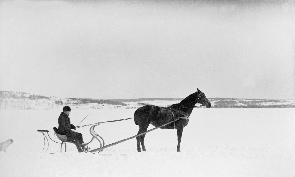 Lerums socken. Aspenäs herrgård, på Aspens is, förvaltaren Fredrik Sandberg med hästen Inanita