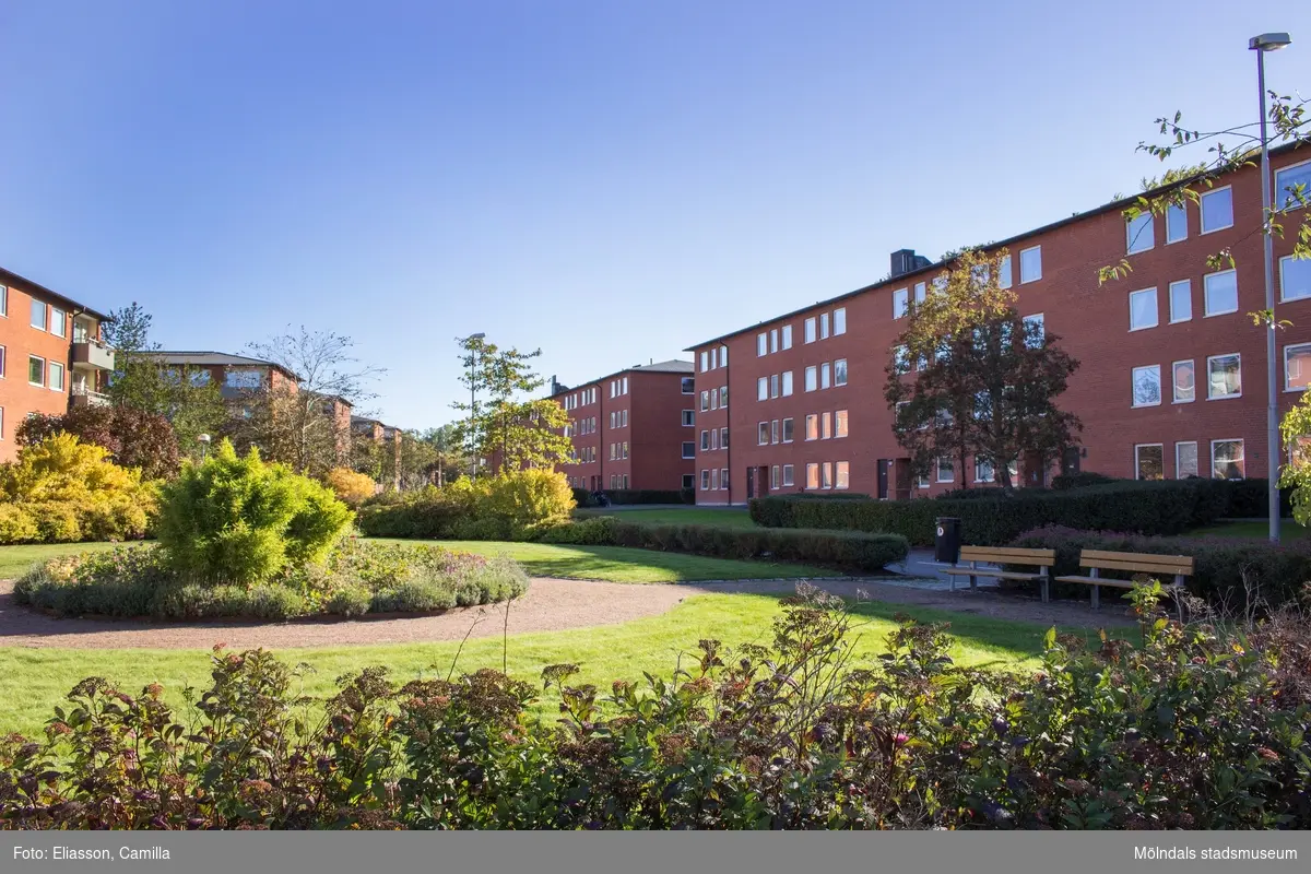 Parkområde mellan bostadshusen vid Våmmedalsvägen i Våmmedal, Kållered ...