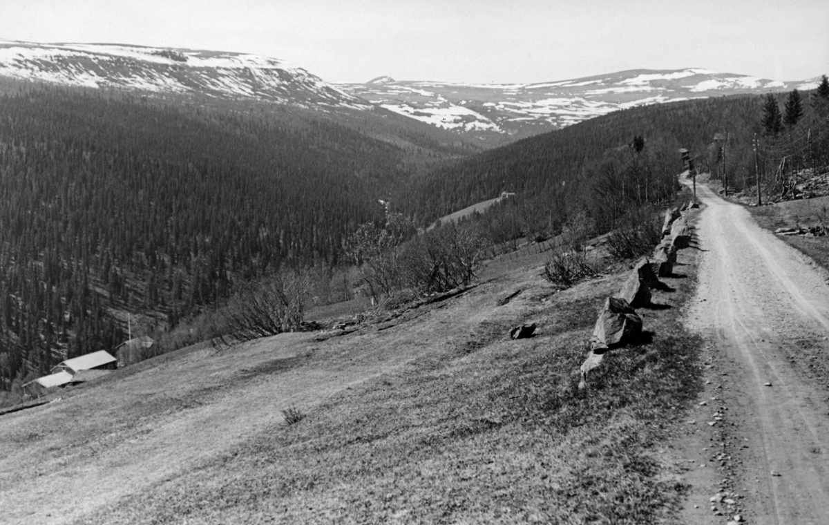Parti fra bygdevegen gjennom Sollia i Stor-Elvdal, fotografert i 1941. Bildet er tatt fra vegkanten. Vegen er en smal grusveg med stabbesteiner i ytterkant mot den bratte lia nedover mot Atna-vassdraget. Nedenfor vegen er det grasbevokst, dyrket mark, og langt nede i lia (til venstre i bildet) ses takene på et gardsbruk. Dalføret nedenfor og framover i landskapet har glissen granskog. Lengre framme mot horisonten er det snaufjell med spredte snøflekker.

Sommeren 2023 fikk museet følgende informasjon om dette motivet fra Berulf Vaagan:

«Den bratte lia går nedover mot elva Setninga, ei sideelv til Atna. 
Bildet er tatt mellom gardene Frami og Gran, som vi skimter husa på. Gardsbruket nede til venstre er Søre Lien. Lenger borte, om lag midt i bildet, ser vi bruket Nyeggen. Fjellet til venstre i bildet er Bretningsvola.  Toppen som stikker opp til høyre for den er Muen.»