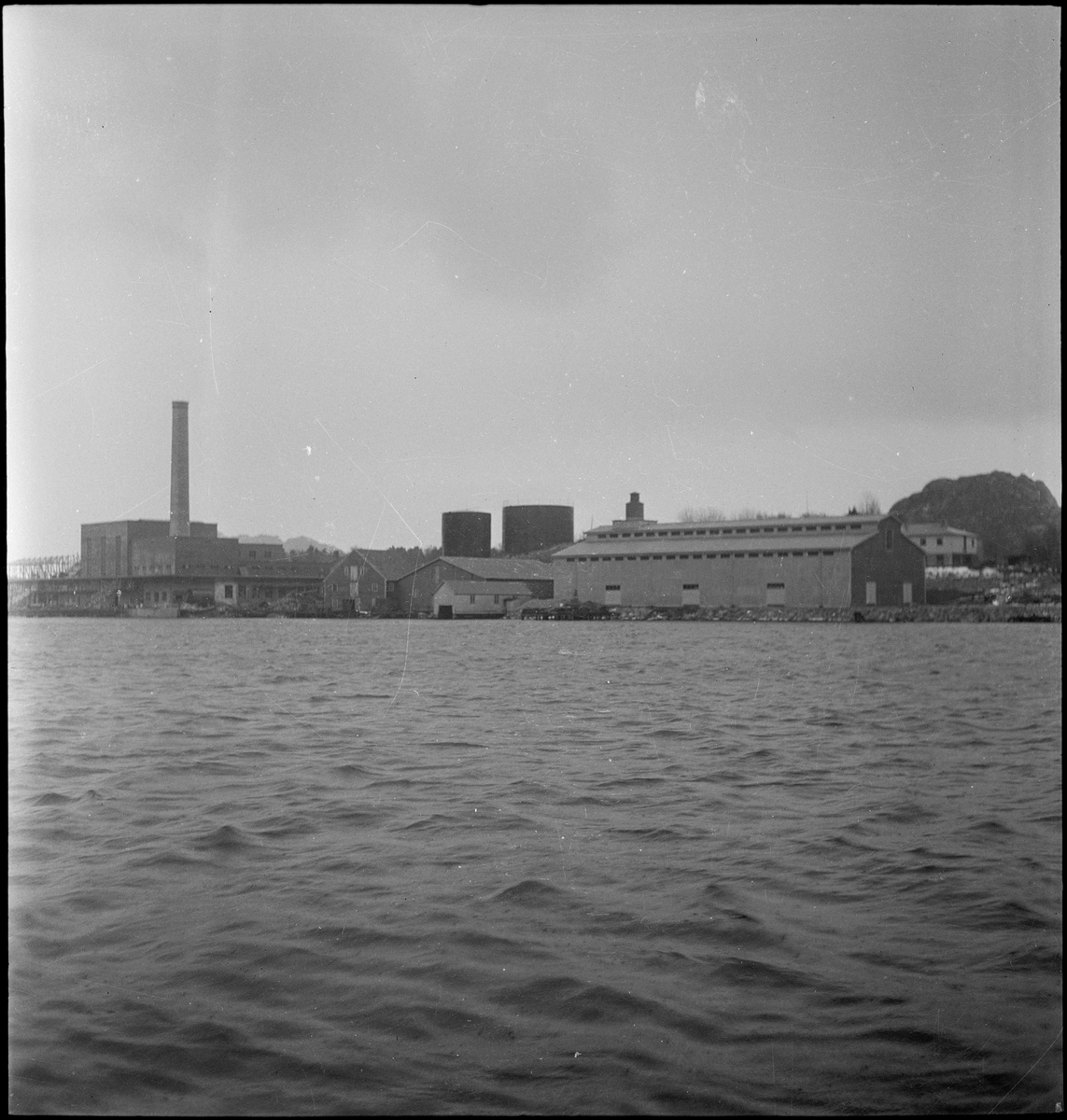 SILFAS Sildefiskernes Fabrikklag på Grønehaugen på Eigerøy sett fra sundet.