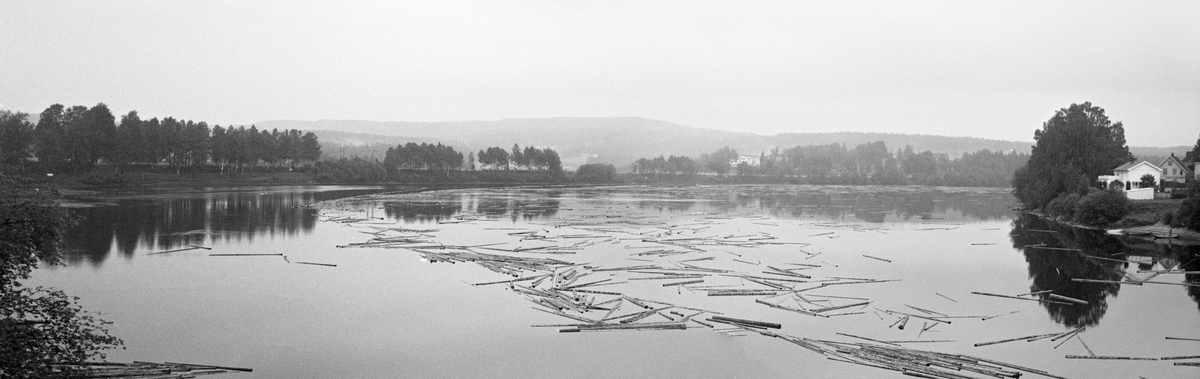 Fløtingstømmer på Glommas blanke vannspeil i den vide elvesvingen nordøst for Skarnes bru i Sør-Odal i Hedmark. Fotografiet ble tatt fra brua i 1963,