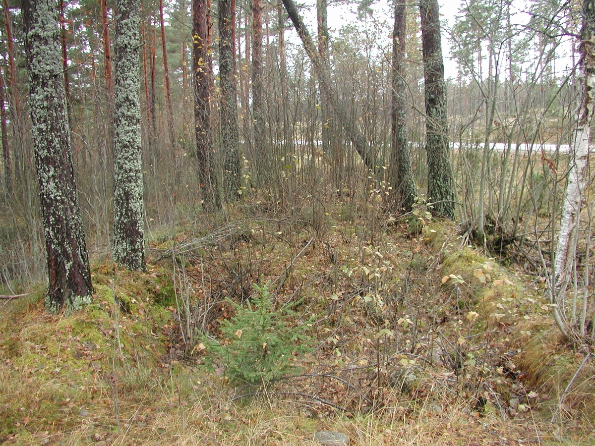 Foto i samband med arkeologisk utredning av väg 67, Valbo sn.
Äldre landsväg (2) fr N.