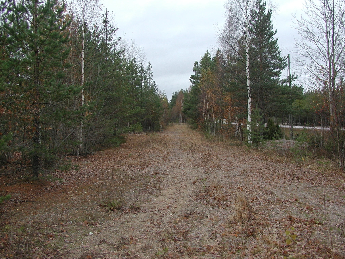 Foto i samband med arkeologisk utredning av väg 67, Valbo sn.
Äldre landsväg (31) fr S.