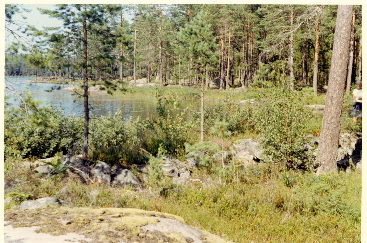 Västerfärnebo sn, Sala kn, Sörhörende.
Stångjärnshammare vid Stora Vallsjön, 1968.